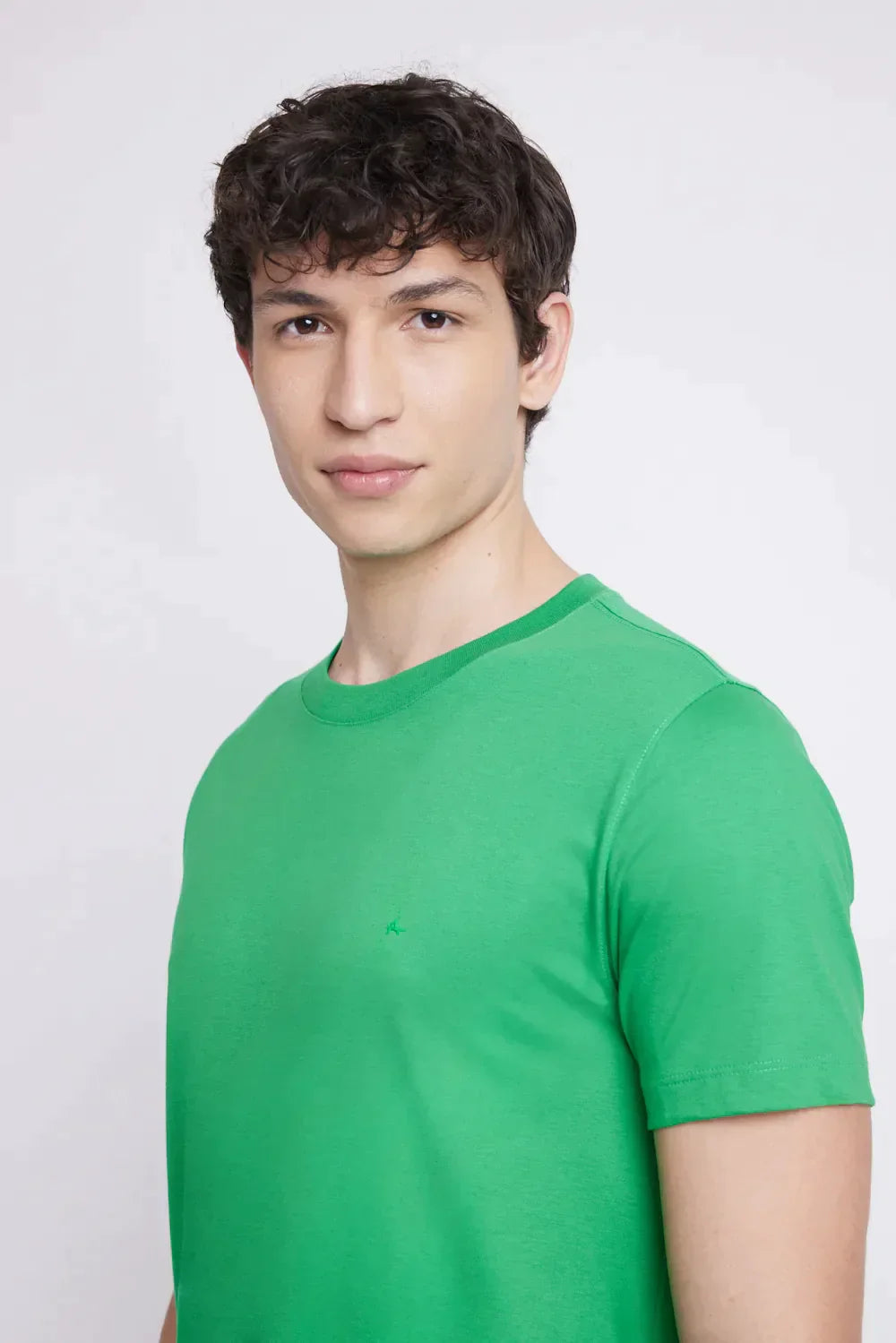 CAMISETA DE ALGODÃO PERUANO PREMIUM CACTO 112